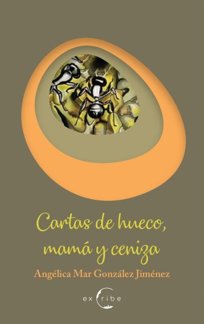 Portada de Cartas de hueco, mamá y ceniza
